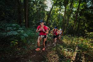 BIB: 
                            <button type="button" onclick="openModal(22542081)" class="btn btn-primary btn-sm float-right btn-popup" data-toggle="modal" data-target=".modal-high-quality">
                        <i class="fas fa-shopping-cart"></i> Add to Cart
                    </button>
                                            <button type="button" onclick="isThisMe(22542081, true)" class="btn btn-success btn-sm float-right btn-popup btn-isme hidden" data-toggle="tooltip" data-placement="bottom" title="นี่คือรูปของคุณใช่ไหม คลิกที่นี่เพื่อเอาเข้าอัลบั้ม">
                        <i class="fas fa-plus"></i> Add to album
                    </button>
                    <button type="button" onclick="isThisMe(22542081, false)" class="btn btn-warning btn-sm float-right btn-popup btn-isnotme hidden">
                        <i class="fas fa-ban"></i> Remove from album
                    </button>